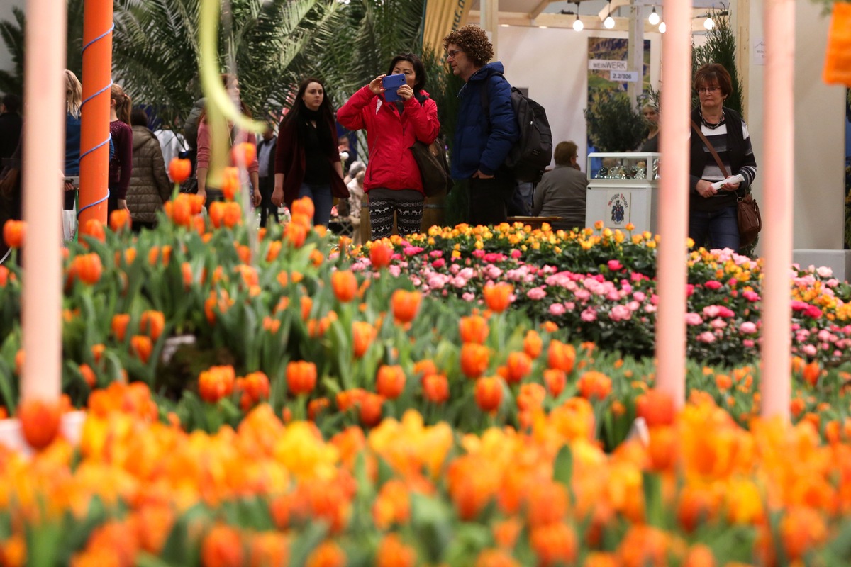 Grüne Woche 2017: &quot;Das Paradies ist überall&quot; - Zum 500. Jubiläum der Reformation setzt die Blumenhalle Martin Luthers berühmtes Zitat in ein gartenarchitektonisches Gesamtkunstwerk um