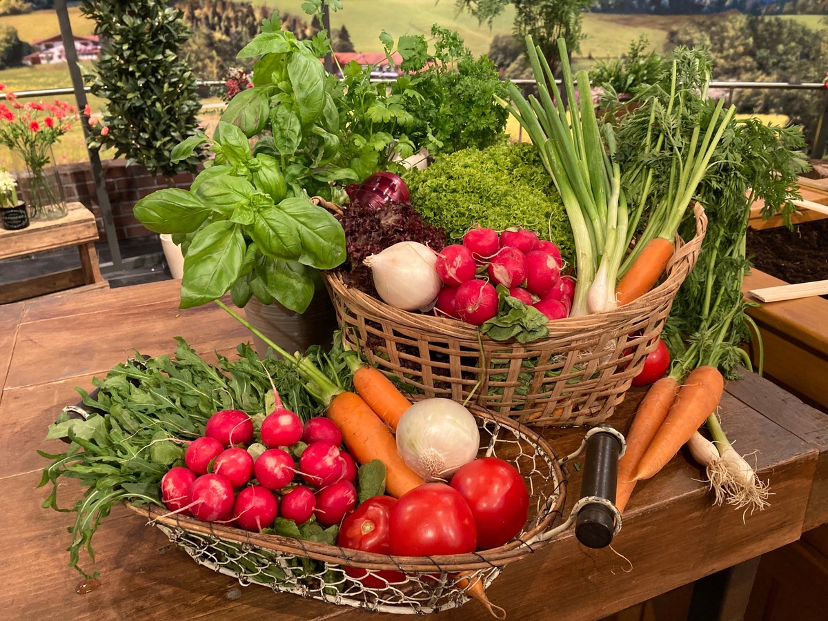 Biotaurus und Gartenexperte Andreas Modery verraten, wie wir schmackhafte Tomaten selbst anpflanzen können und decken häufige Fehler bei der Pflege von Rosen und Zitrusfrüchten auf