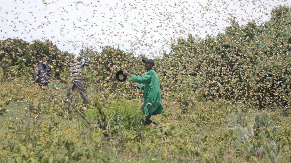 Dreifach Katastrophe in Kenia und Uganda