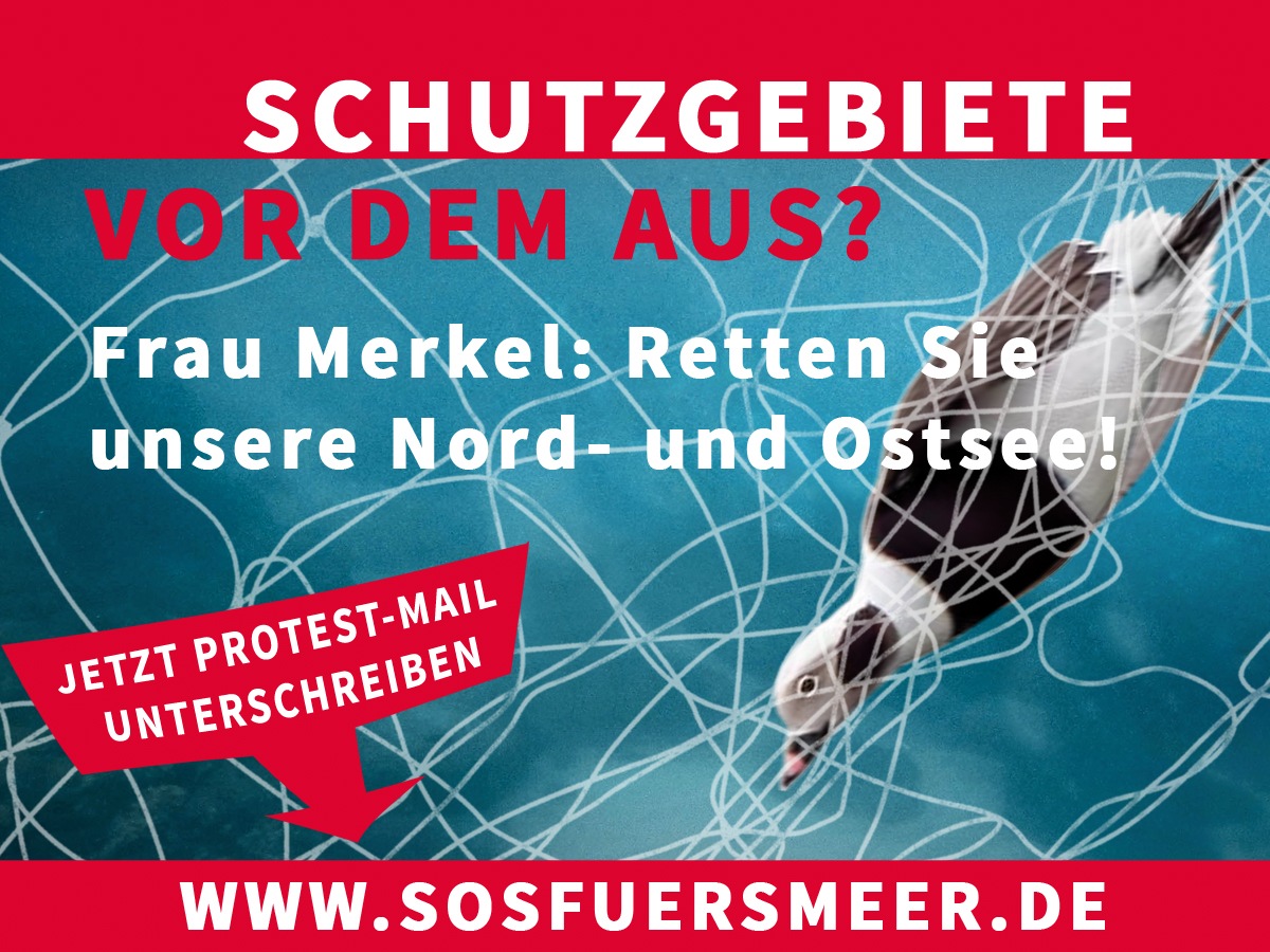 SOS fürs Meer: Nord- und Ostsee in Gefahr!