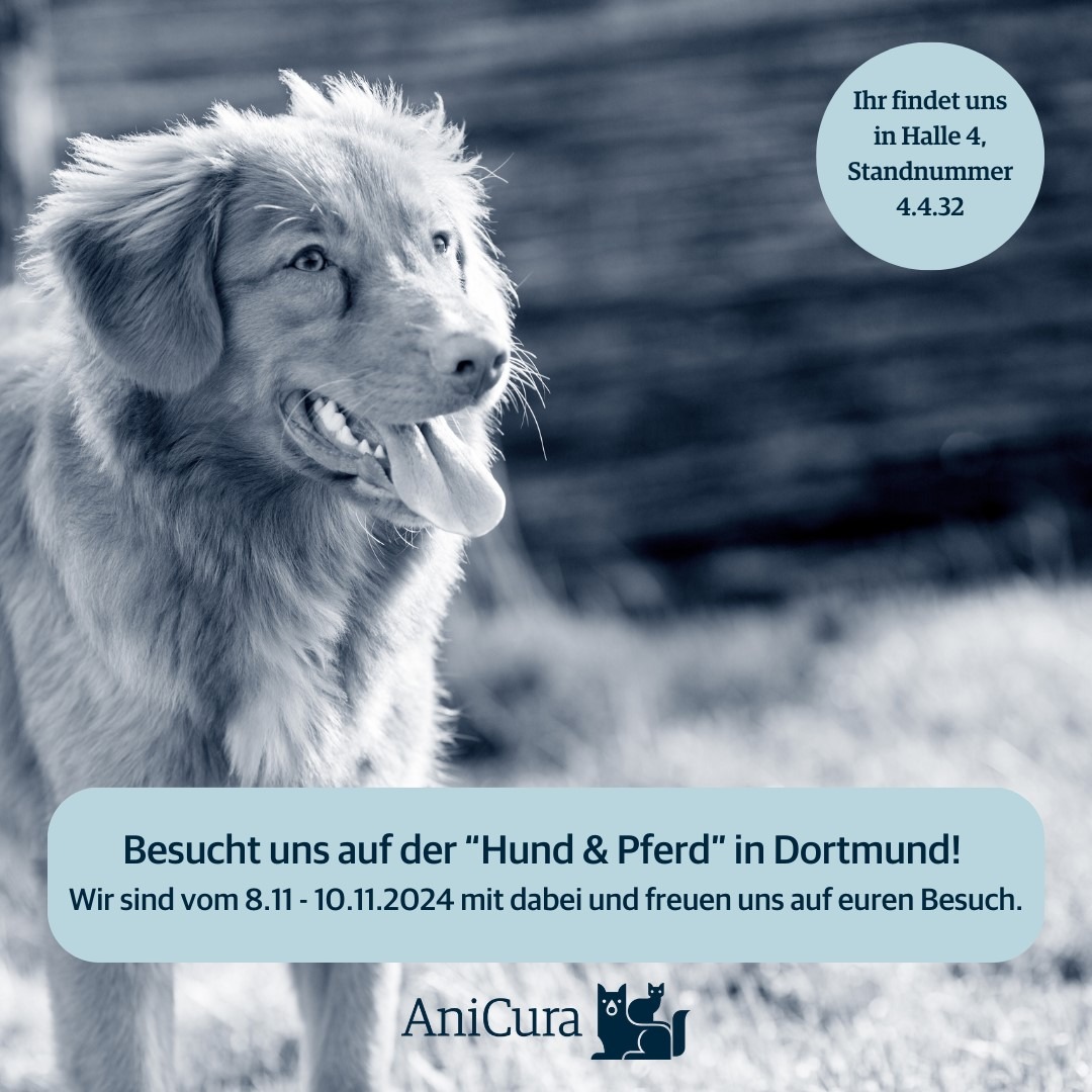 AniCura auf der Messe Hund &amp; Pferd 2024: Umfassende Informationen rund um das Thema Tiergesundheit