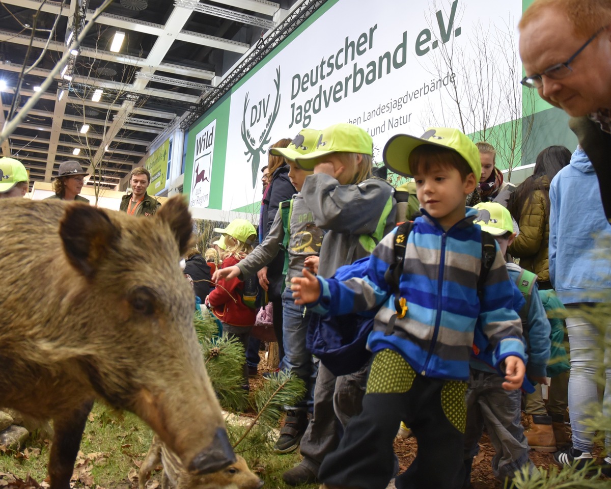 Grüne Woche 2018: Deutscher Jagdverband thematisiert das Problem &quot;Wildunfall&quot; / Erlebnispfad im naturnahen Biotop der Halle 4.2