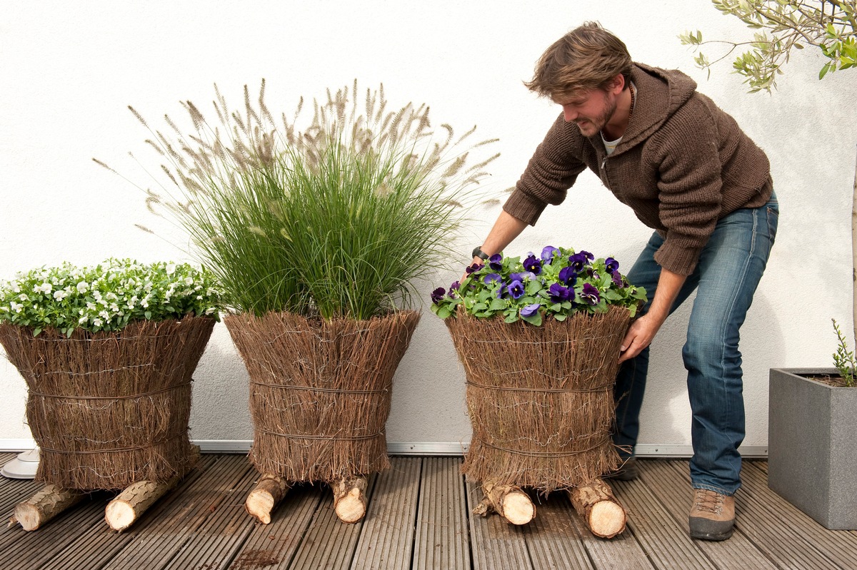 Grüne Oasen mit wenig Aufwand selber pflanzen und bis in den Herbst genießen / Zeit für Natur: Gartenblüher auf Balkon und Terrasse (BILD)