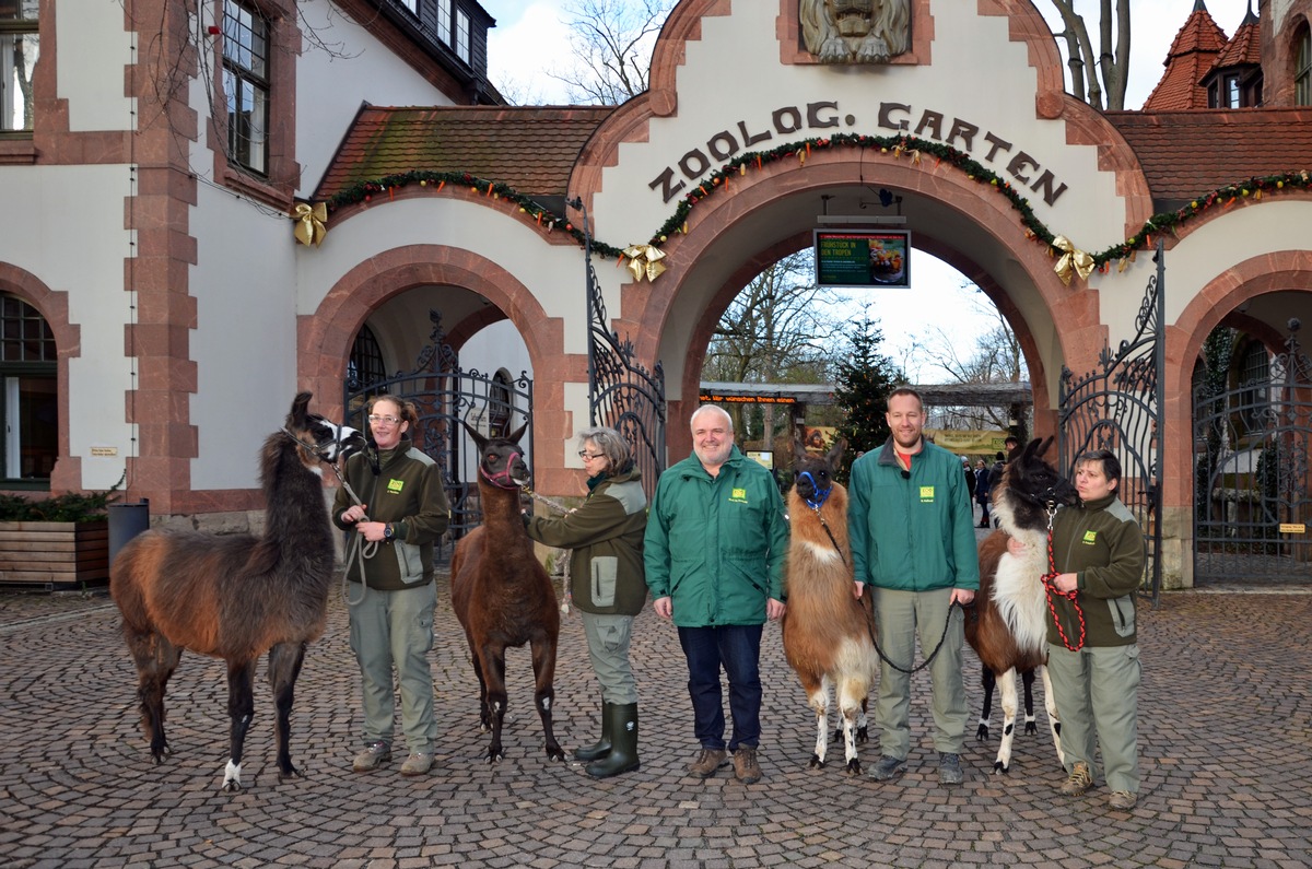 Südamerika-Eröffnung und 140. Geburtstag - Zoo Leipzig startet ins Jahr 2018