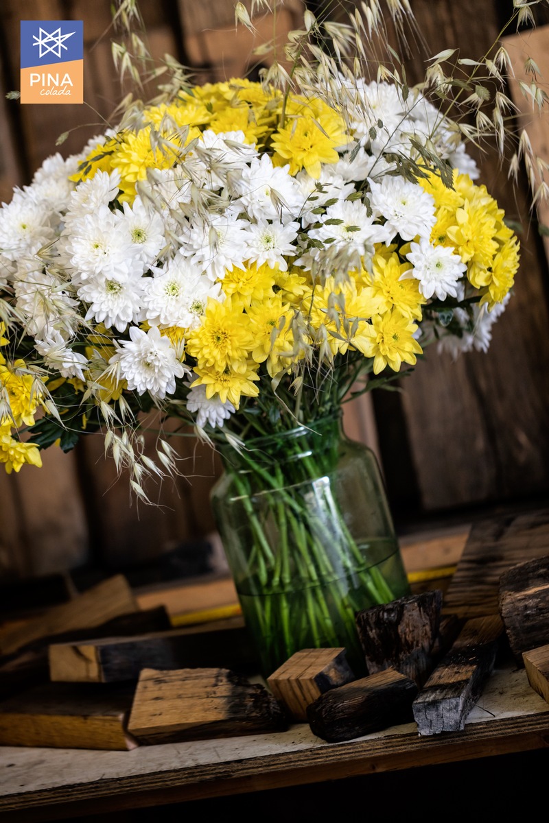 Außergewöhnliche Interieur-Ideen mit Pina Colada / Newcomer Spray-Chrysantheme für hippe Kreationen