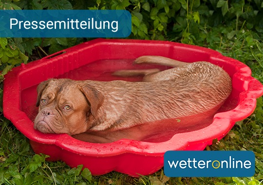 Die Hundstage kommen -  Es wird heiß!