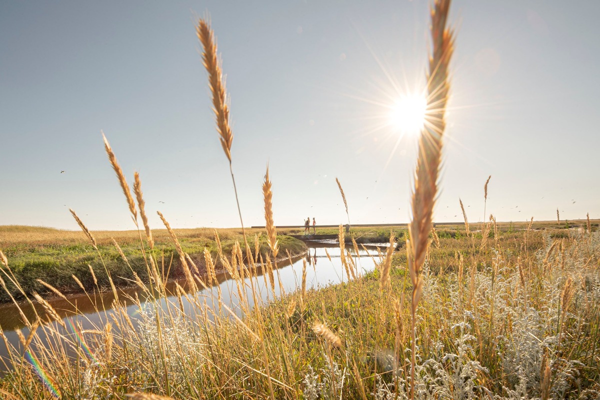 Ganz nah dran - Naturerlebniswoche in St. Peter-Ording