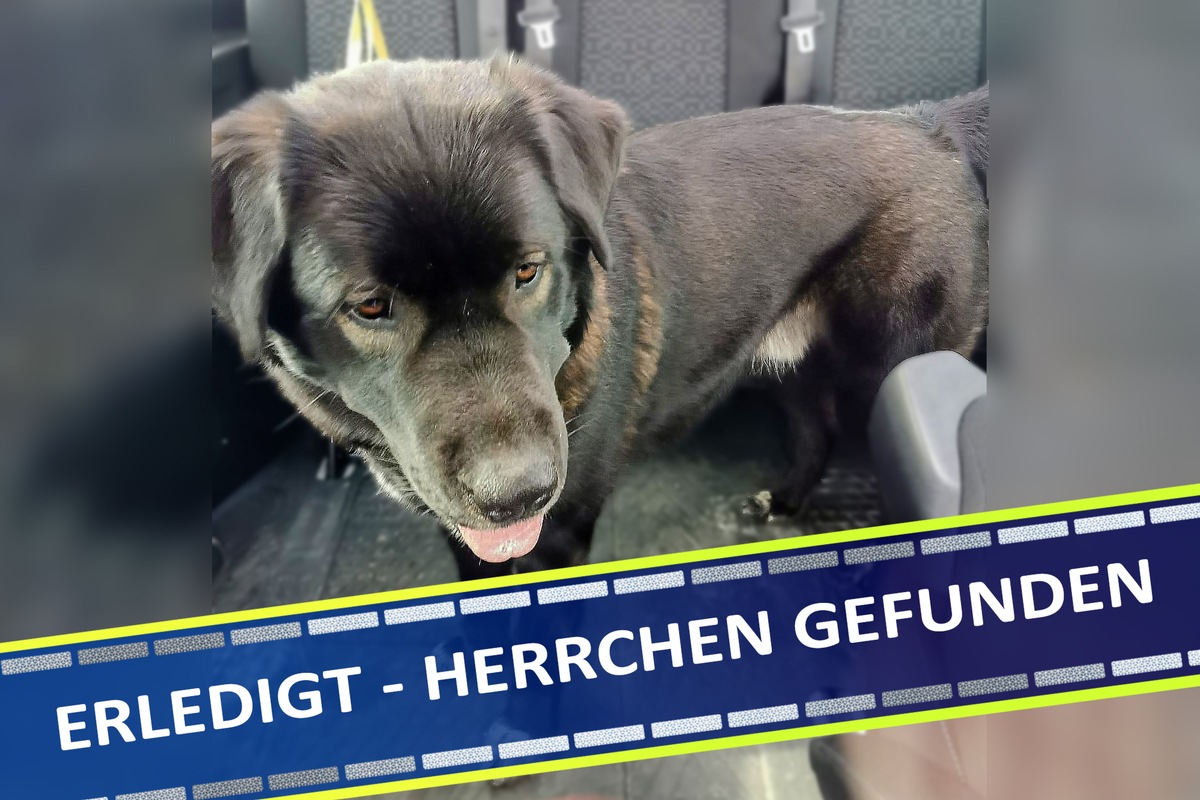 POL-LDK: Herrchen gefunden! Suche nach Hundebesitzer hat sich erledigt!