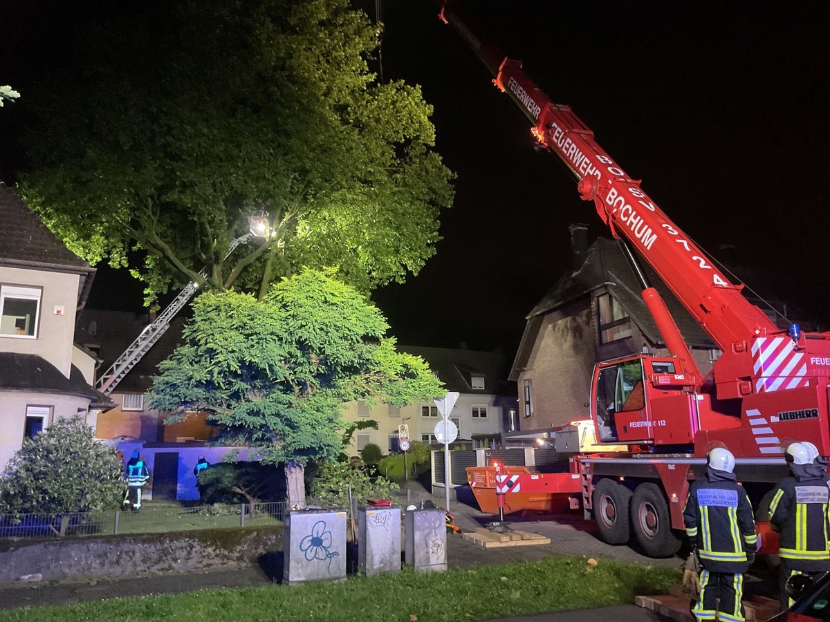 FW-BO: Fünf sturmbedingte Einsätze für die Feuerwehr Bochum