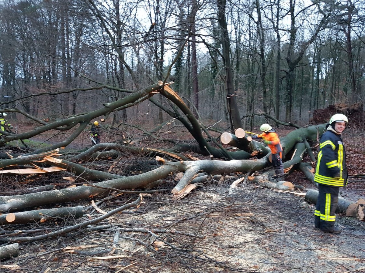 FW-GL: Sturmtief &quot;Burglind&quot; trifft Bergisch Gladbach mit voller Wucht - 150 Einsätze alleine im Stadtgebiet von Bergisch Gladbach