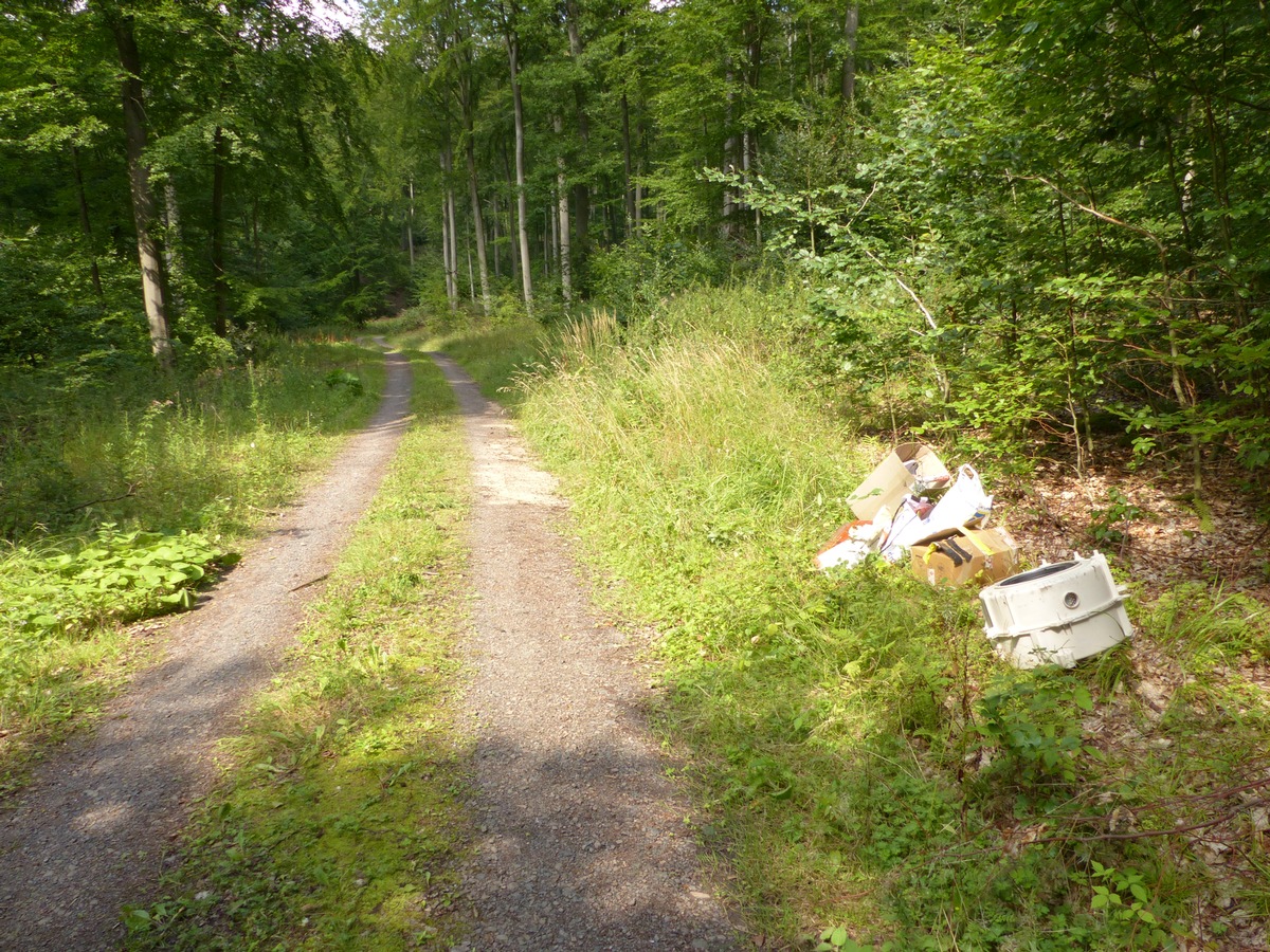 POL-KB: Waldeck - illegal Müll und Altöl im Wald entsorgt, Polizei ermittelt wegen Umweltstraftat