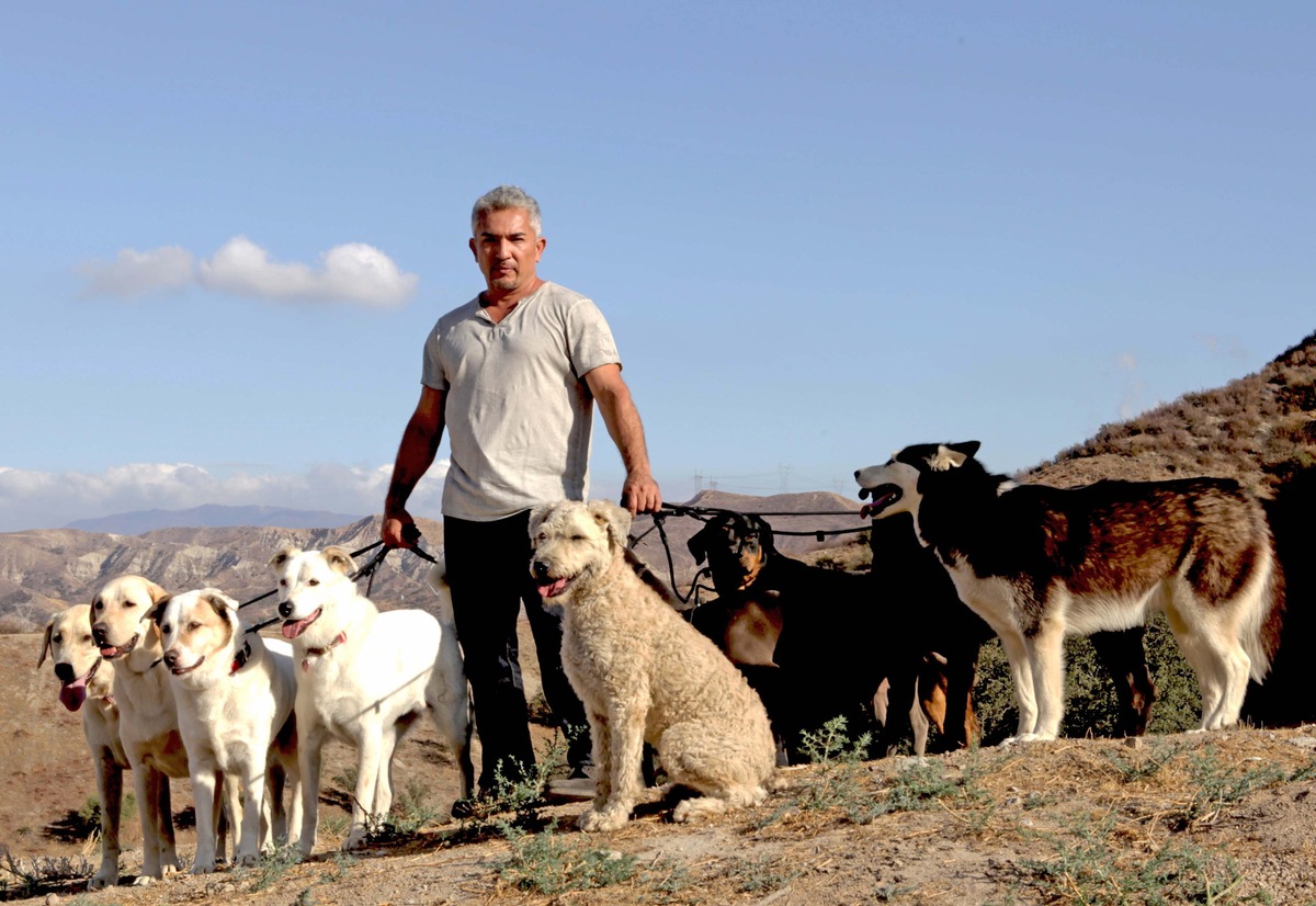 König der Hunde! Der berühmteste Hundetrainer der Welt startet mit neuer Show: &quot;Cesar Millan: Auf den Hund gekommen&quot; ab 9. Juli 2014 um 20.15 Uhr auf sixx (FOTO)