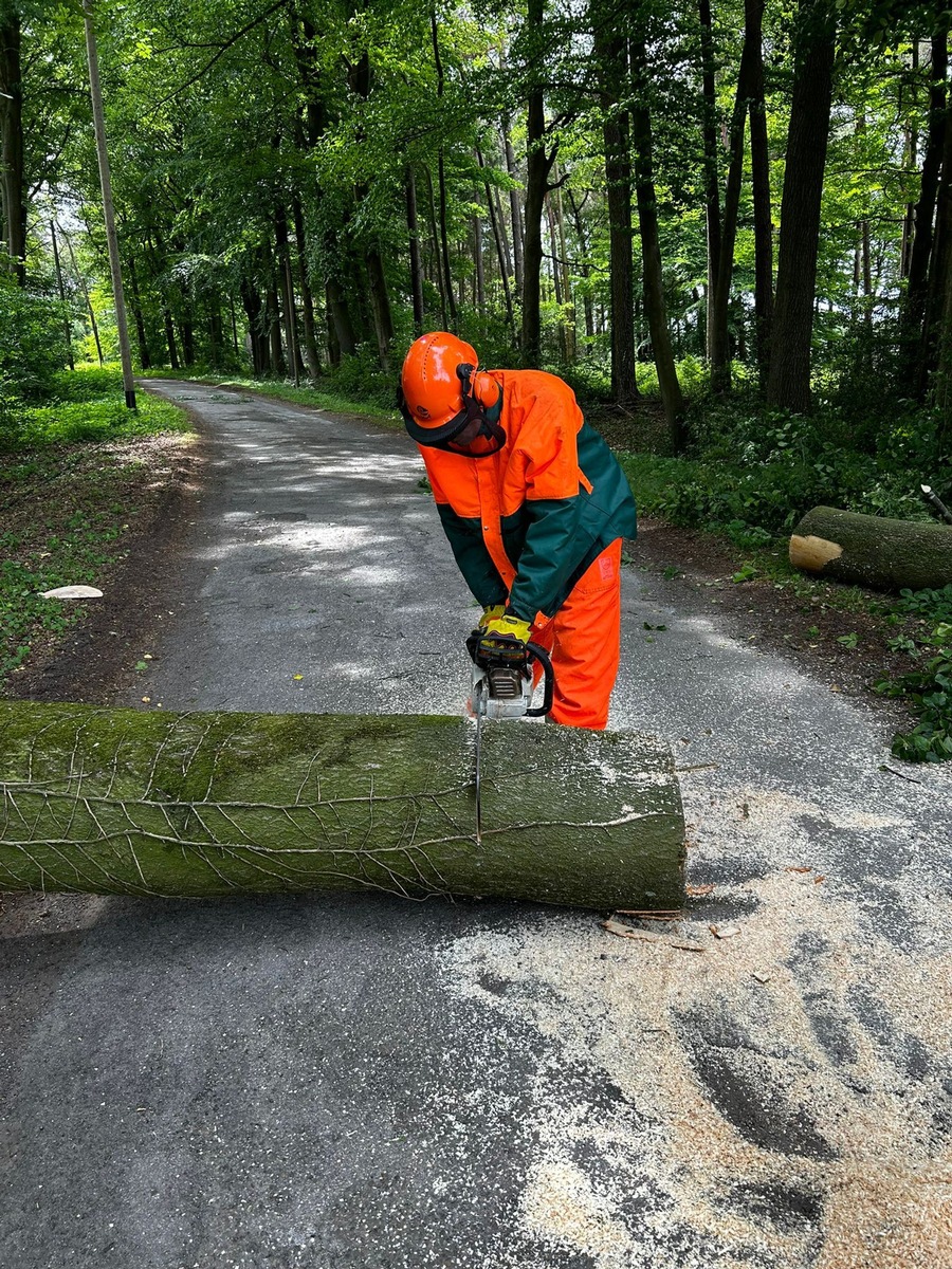 FW-Schermbeck: Baum auf Stromleitung