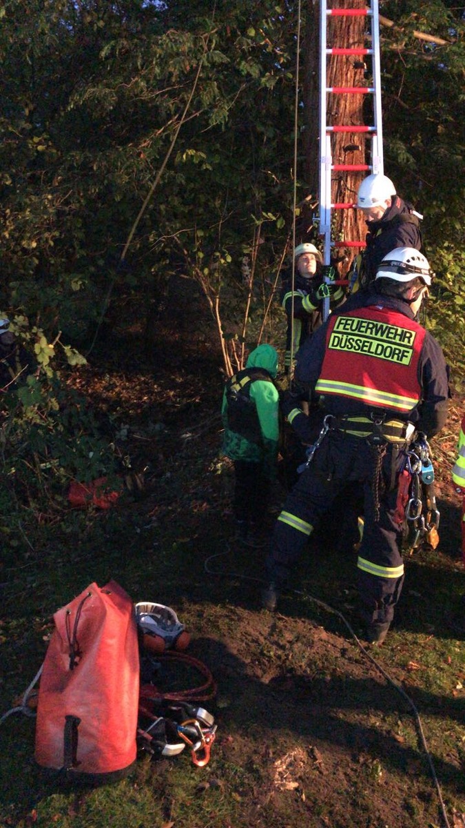 FW-Erkrath: Kind aus Baum gerettet