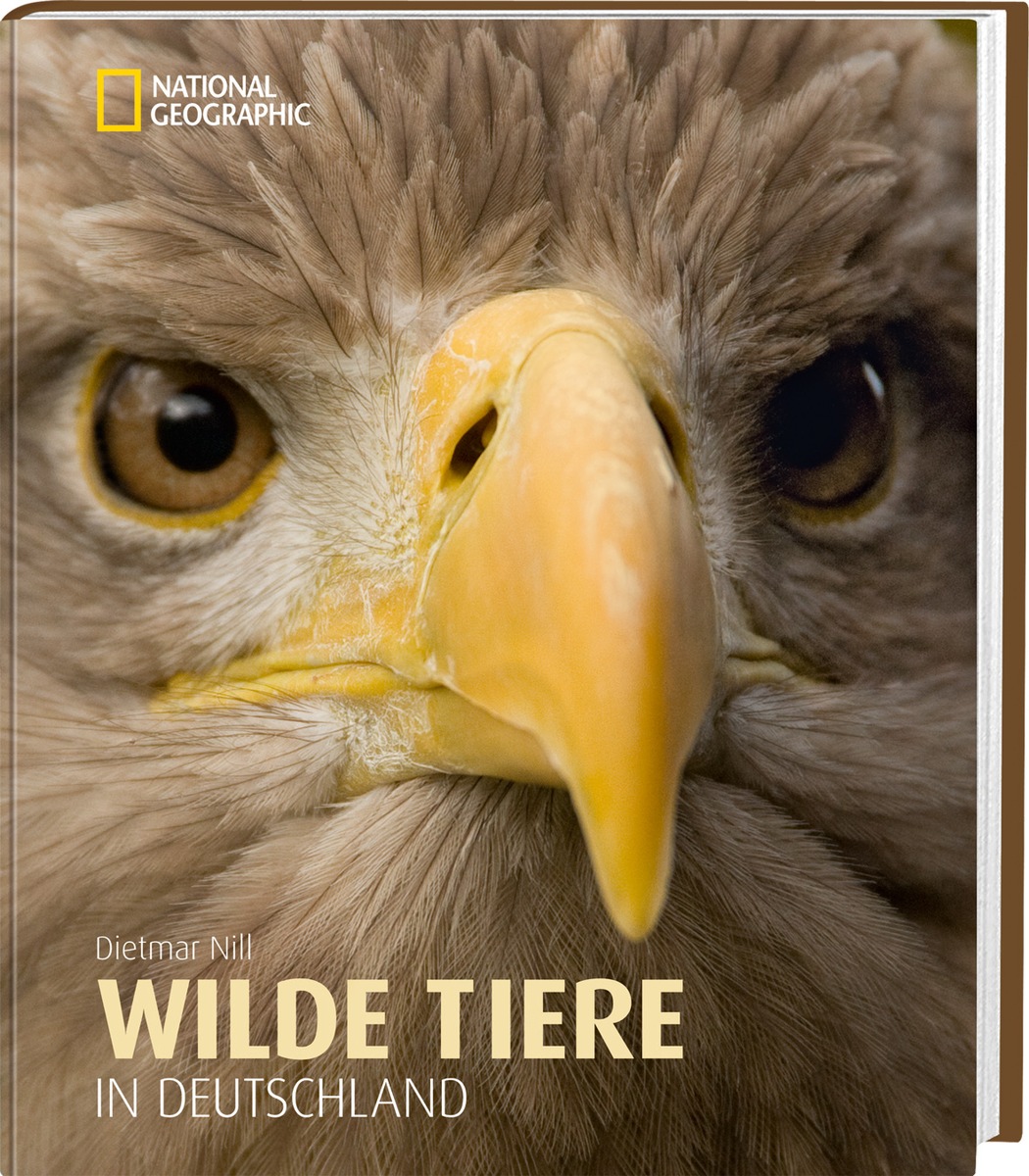 Auf Safari durchs eigene Land / Für den Bildband &quot;Wilde Tiere in Deutschland&quot; hat sich Dietmar Nill in die Tiefen der heimischen Wälder begeben und eine Vielzahl an ungezähmten Bewohnern aufgespürt (BILD)