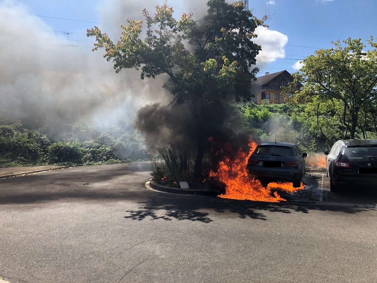 POL-PDNW: Neustadt/Wstr.: Feuerwehr- und Polizeieinsatz wegen Fahrzeugbrand