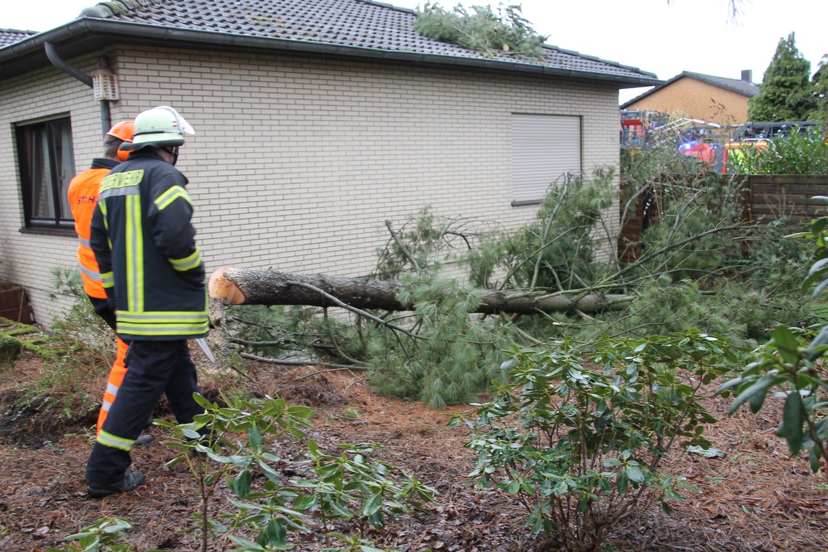 FW-WRN: TH_1_B: Baum auf Dach gestürzt