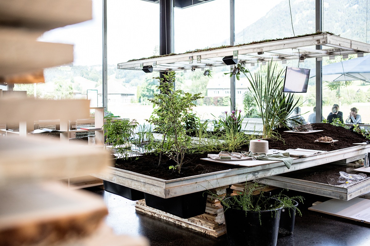 Biomimicry im Werkraumhaus im Bregenzerwald - BILD