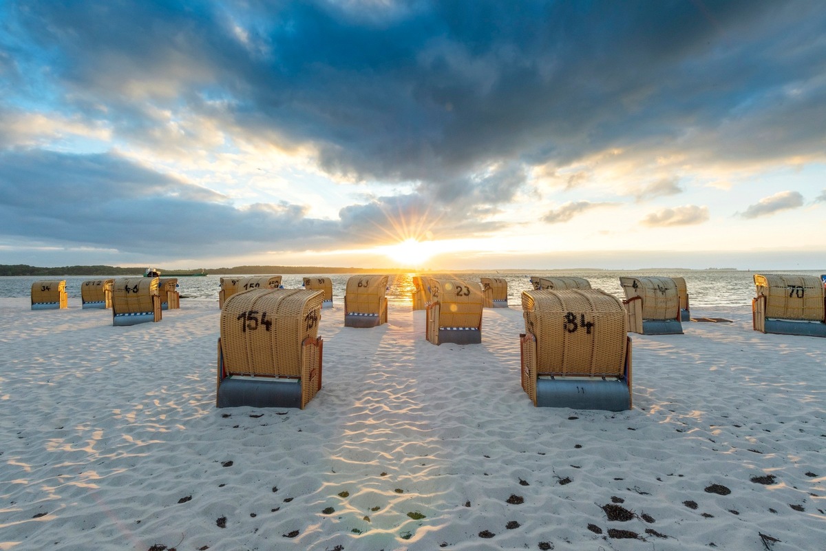 Erfolgreiche Ostsee: Erhebliche Zuwächse in den letzten fünf Jahren an der Ostsee Schleswig-Holstein