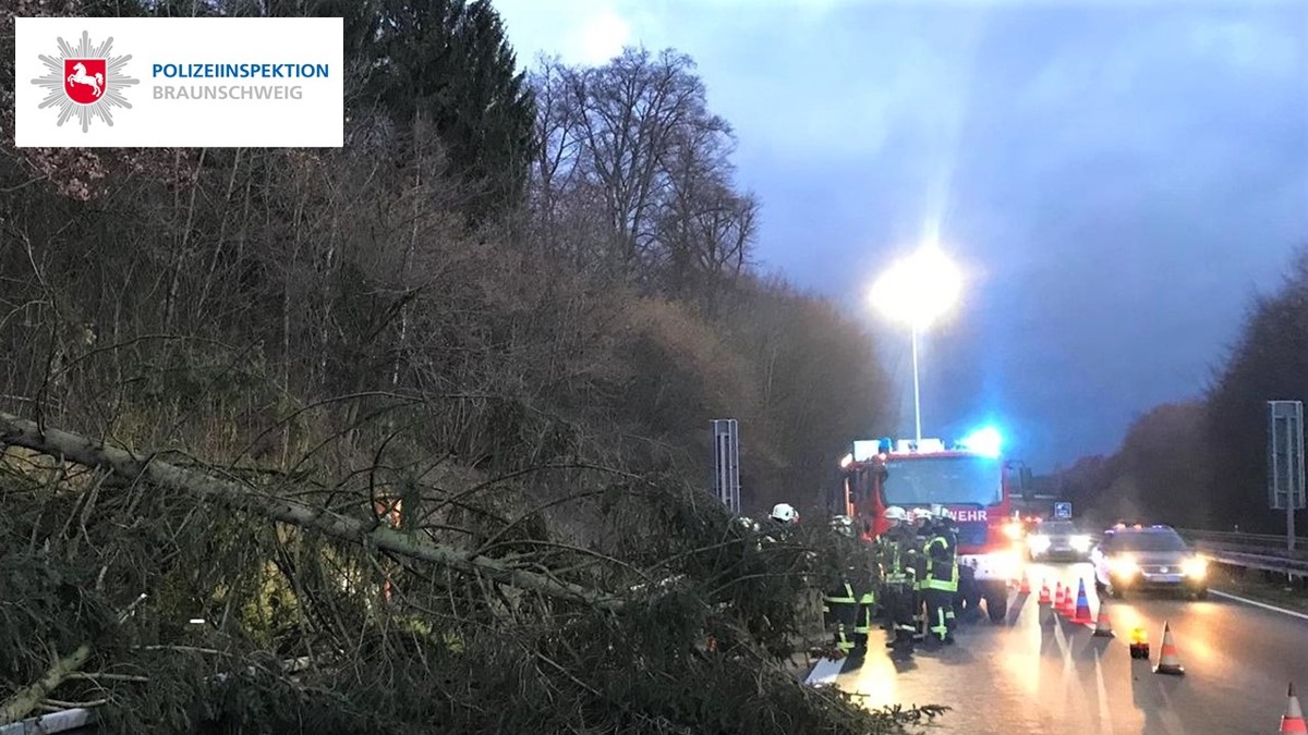 POL-BS: Verkehrsunfall durch einen Baum auf die Autobahn