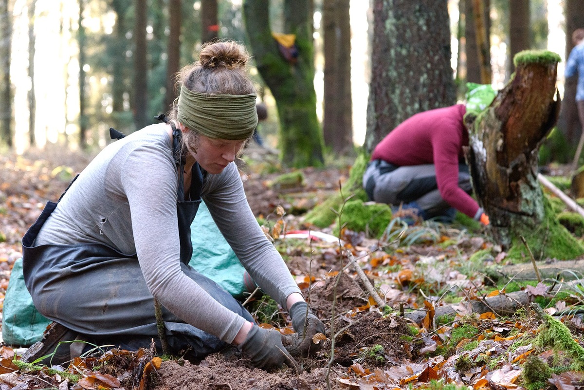 Freiwillige engagieren sich mit dem Bergwaldprojekt für naturnahe Mischwälder in Sonneberg