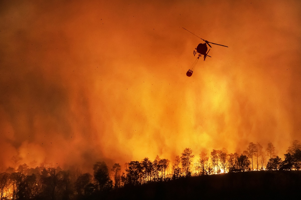 DBU: Waldbrandgefahr: Mit weniger Wasser effektiver löschen