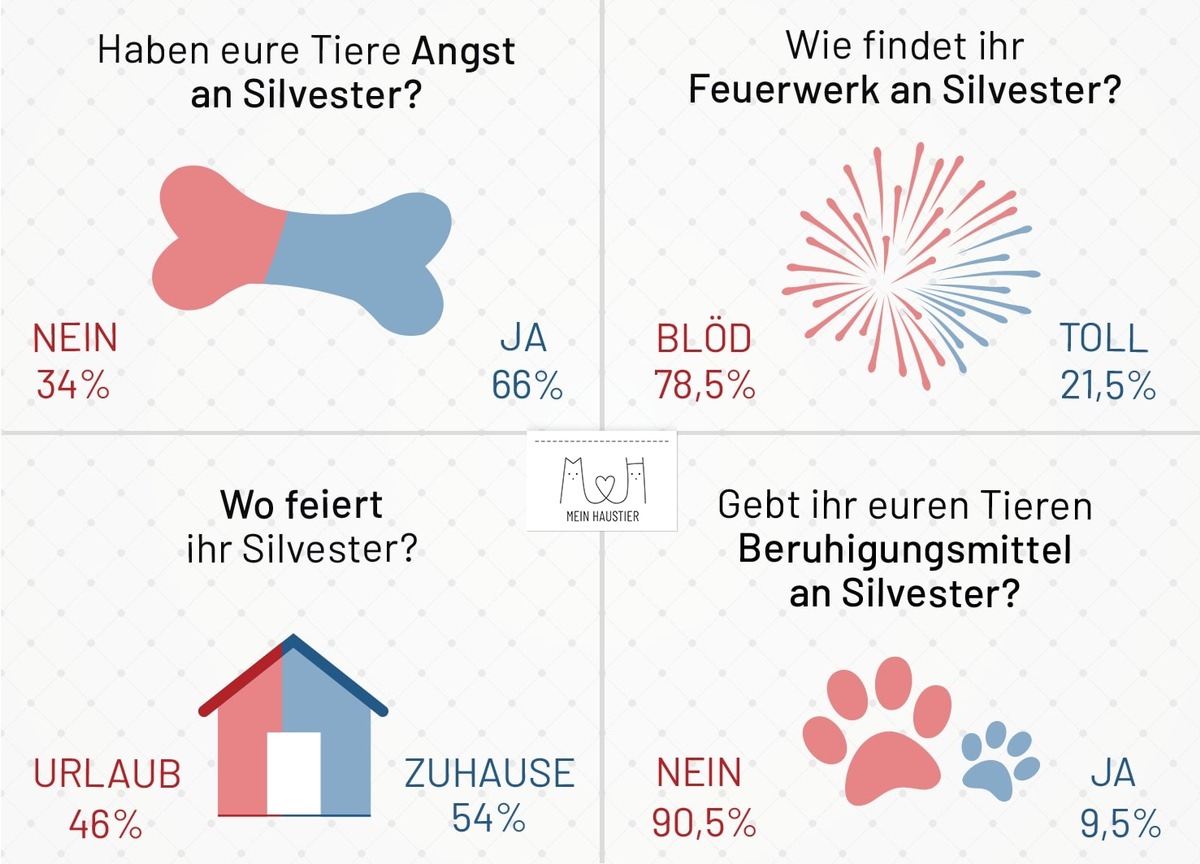 Silvester: Der blanke Horror für Haustiere?