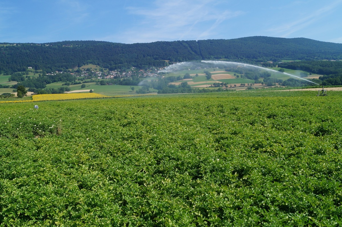 Communiqué de presse: Des données standardisées pour une meilleure irrigation