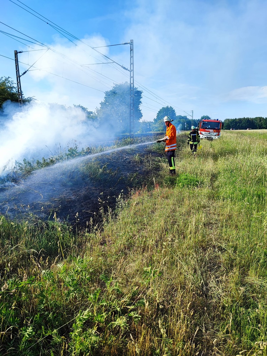 FW Celle: Böschungsbrand in Westercelle