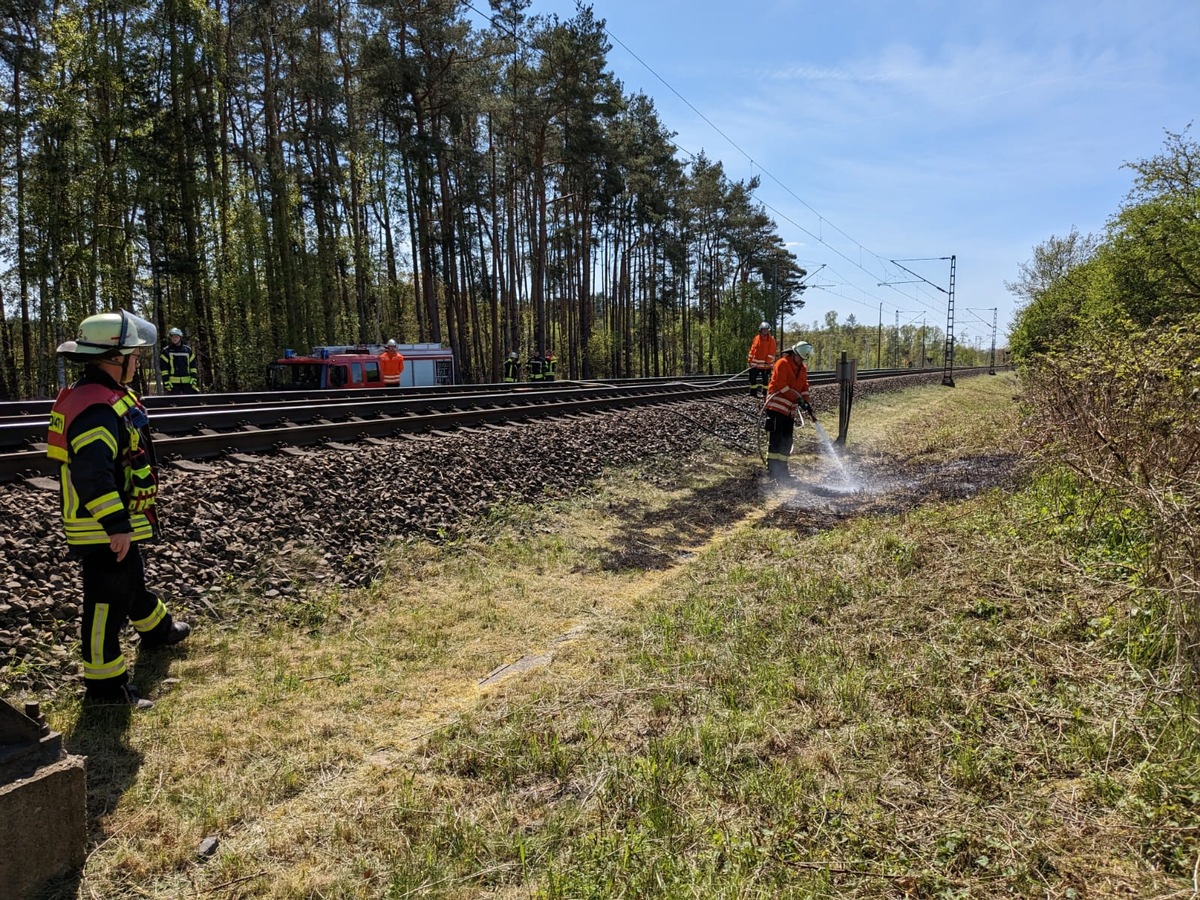 FW Celle: Kleiner Flächenbrand in Celle