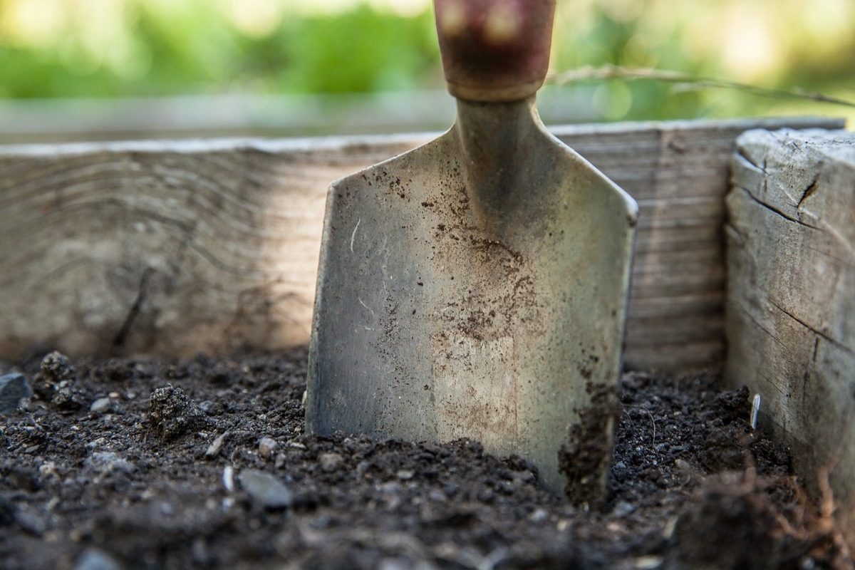 ++ Ökotipp: Weniger tun, mehr lassen – So gelingt Vielfalt im Garten | Ökotipp-Reihe Naturnahes Gärtnern ++