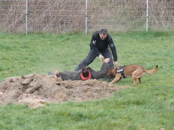 BPOL NRW: Die Bundespolizei bietet 29 Schülerinnen und Schülern einen spannenden Tag im Rahmen des Girls- und Boys-Day 2019