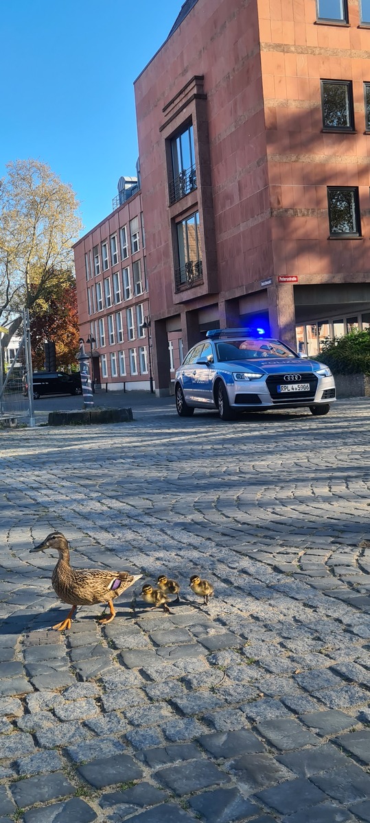 POL-PPMZ: Tierische Rettungsaktion