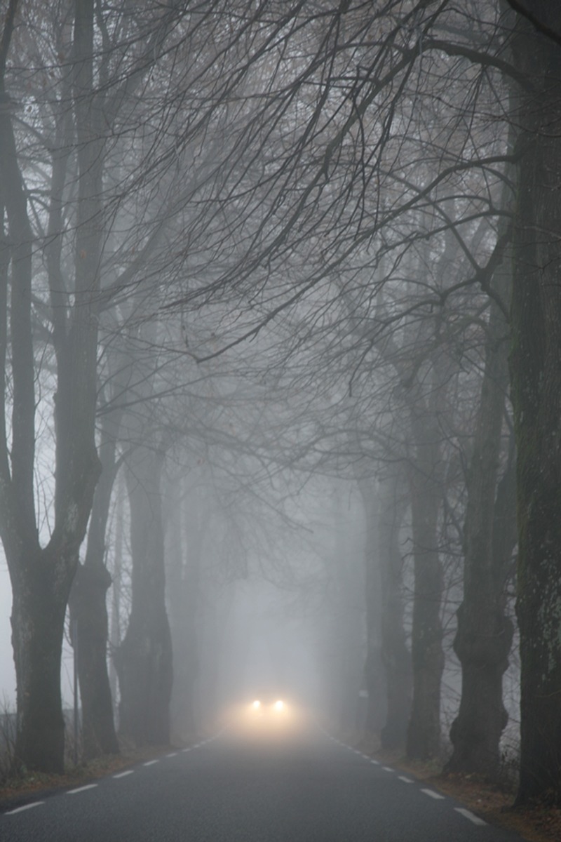 Sehen und gesehen werden: Mit dem Auto sicher durch den Herbst (BILD)