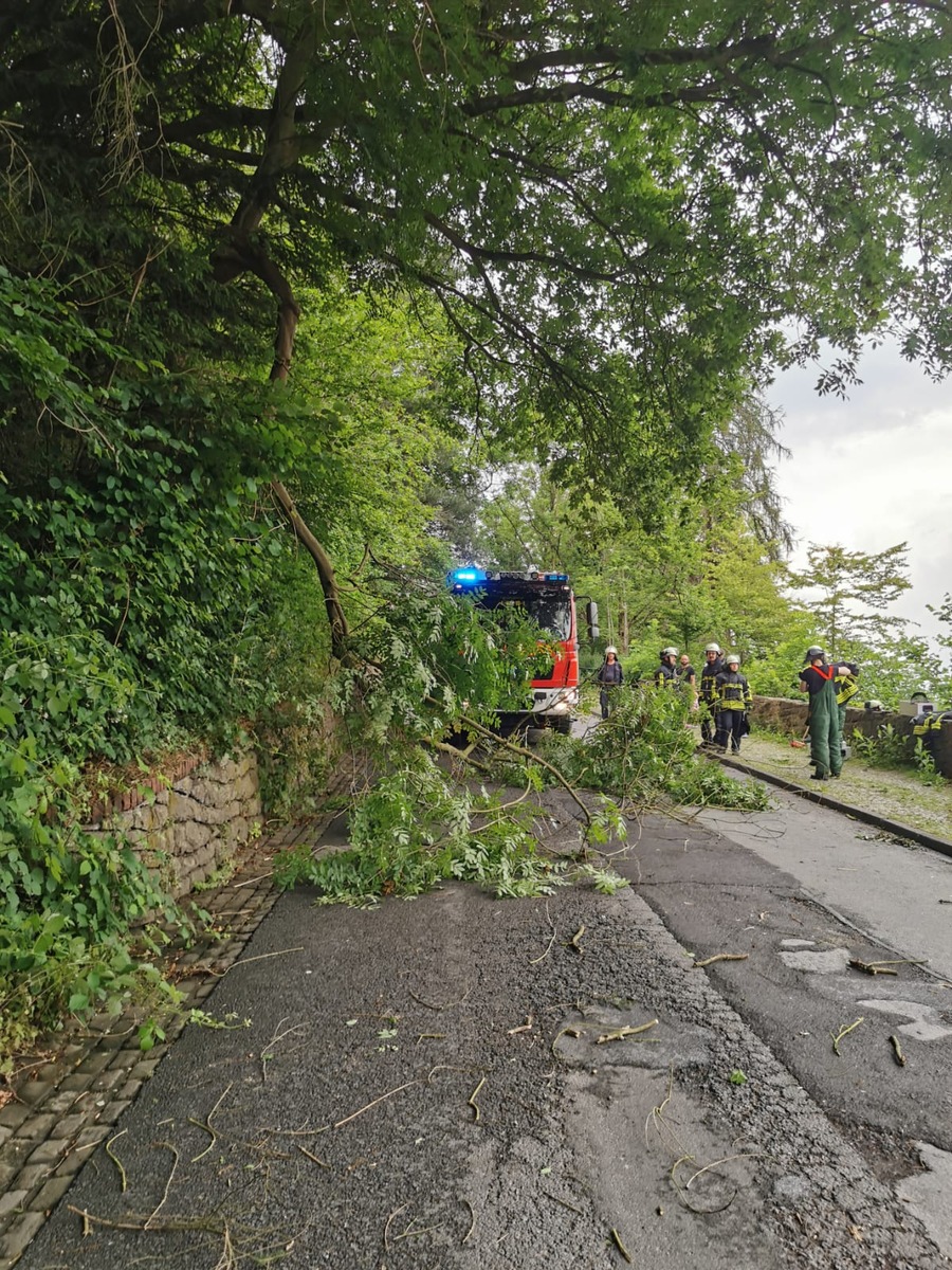 FW-EN: Wetter - Ast über Fahrbahn