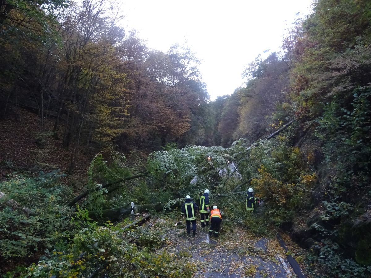 POL-PDTR: Umstürzender Baum auf der K37 beschädigt zwei Pkw