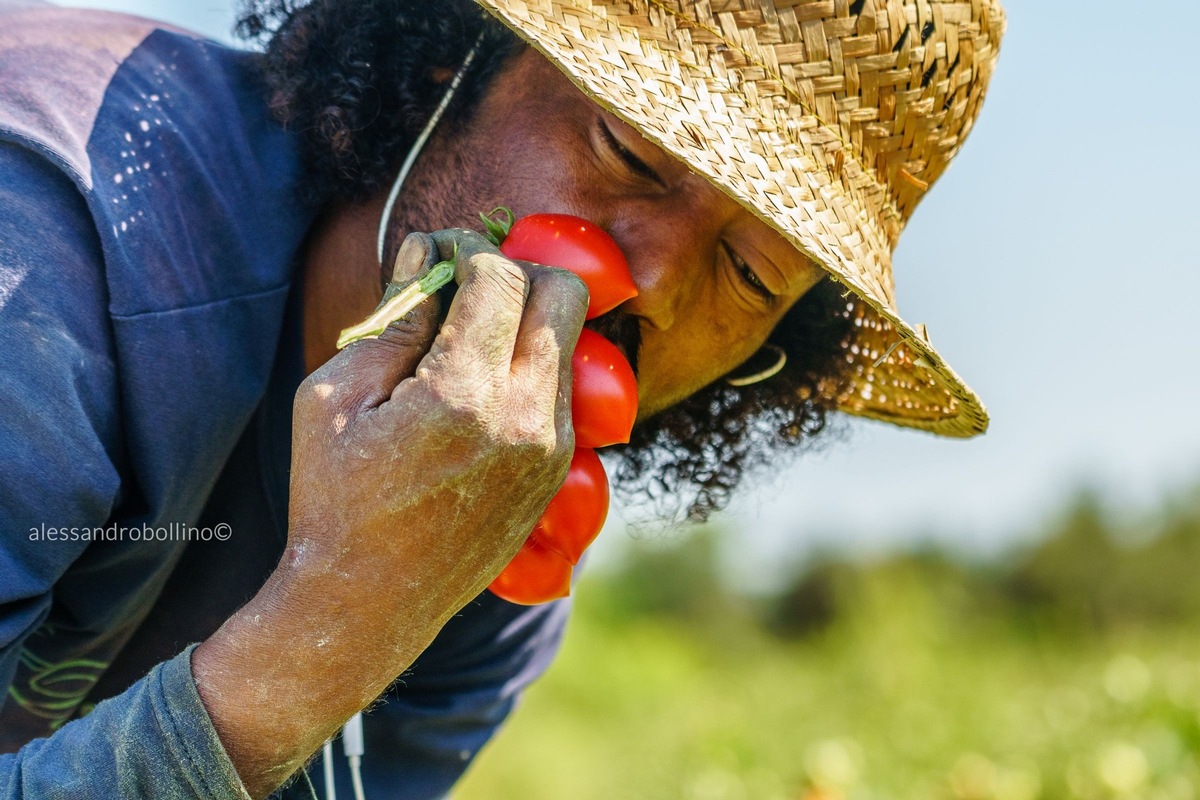 Lush Spring Prize 2019 - Starthilfe für regenerative Projekte