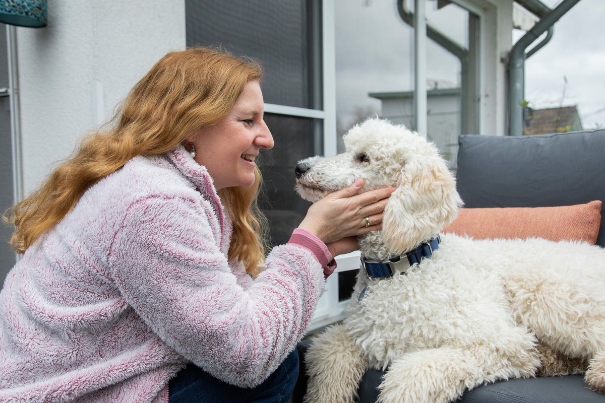 Umfrage: Was Menschen und Hunde lieben