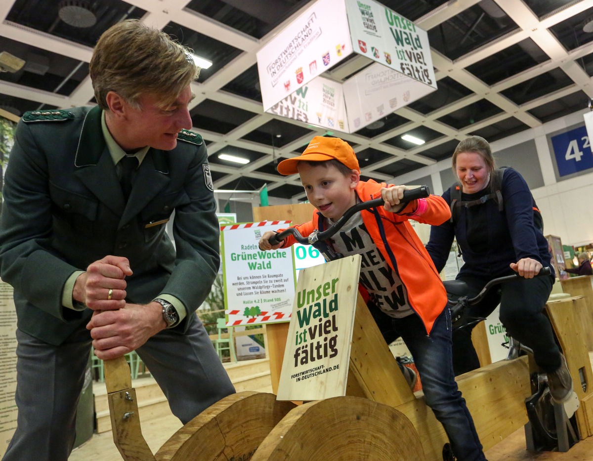 Grüne Woche 2017: Multitalent Holz lässt den Grüne Woche-Wald weiter wachsen