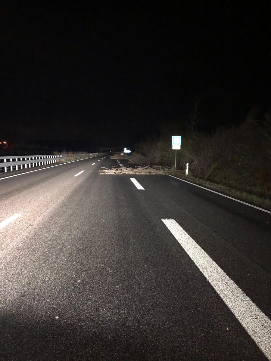 POL-PDLD: Neustadt / A 65 - Vollsperrung der Autobahn durch herumfliegende Bäume