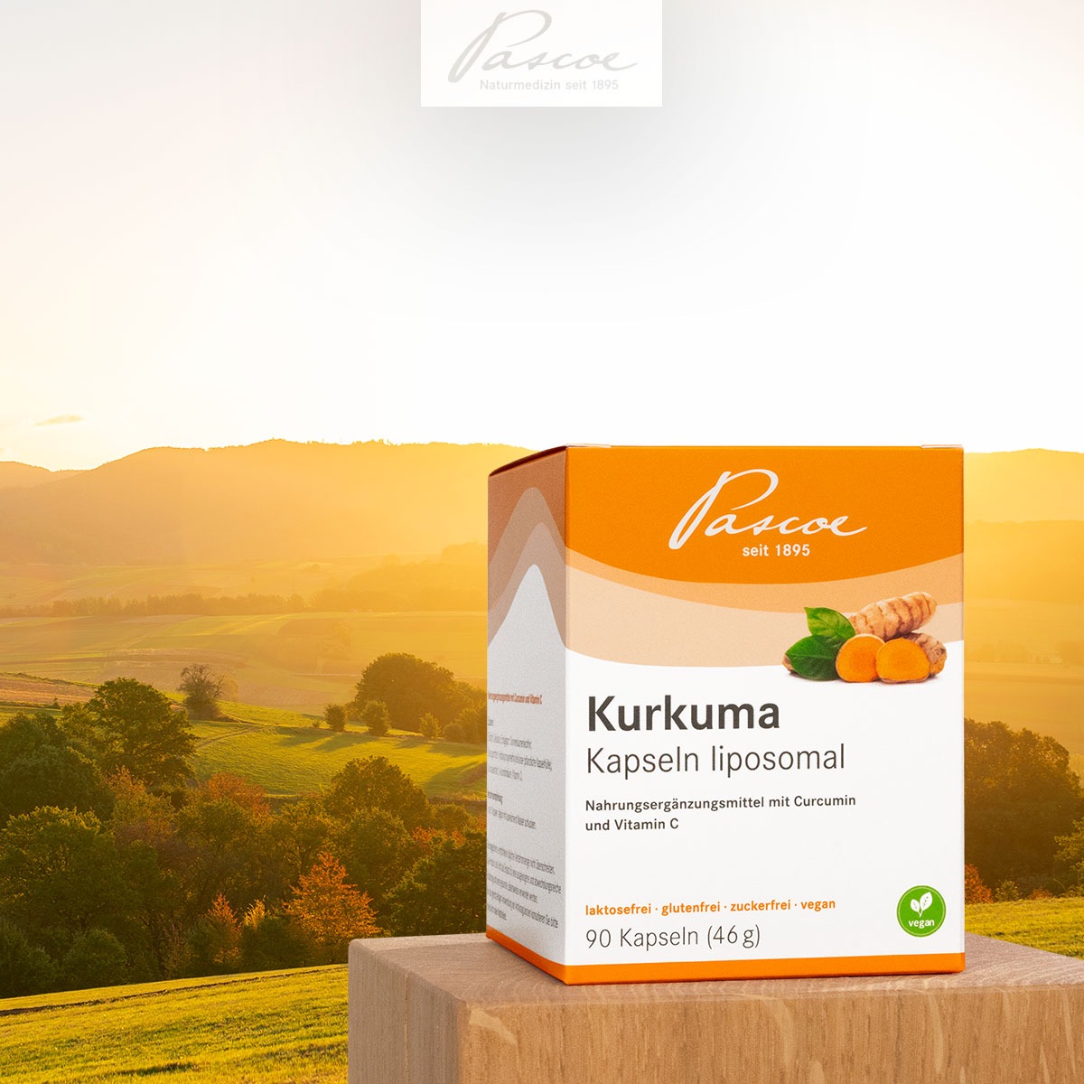 Pascoe Vital stellt vor: Kurkuma Kapseln liposomal