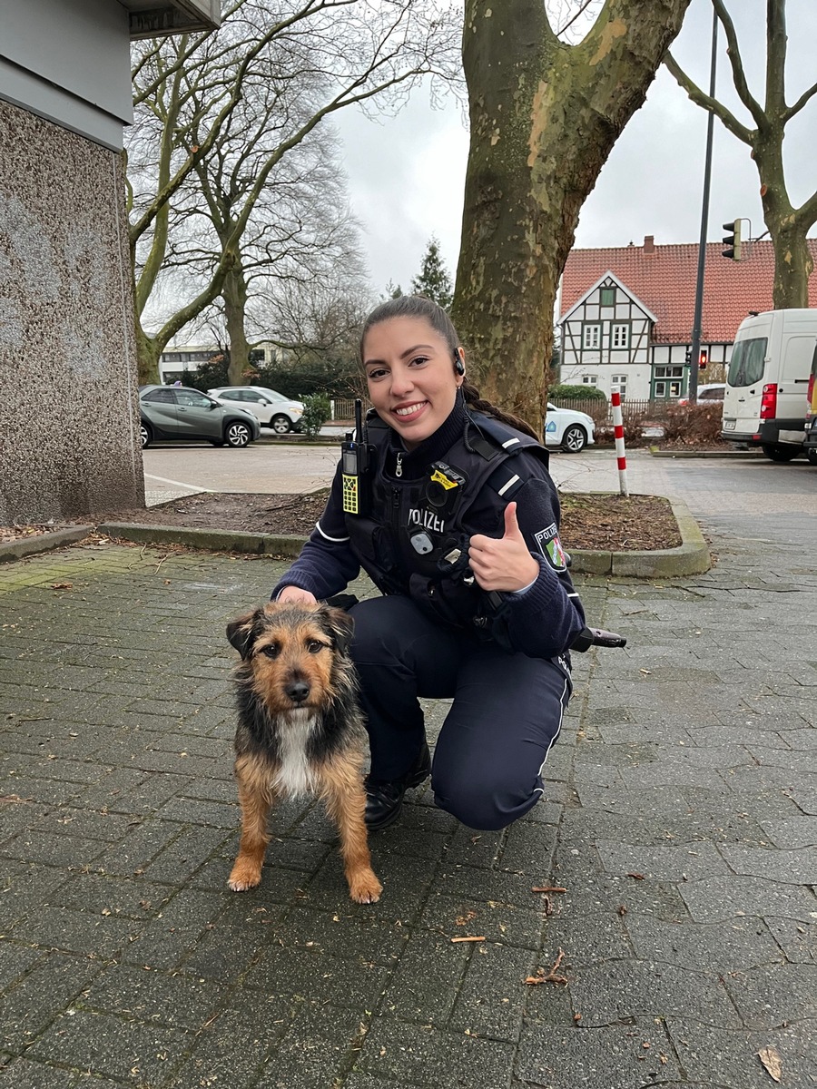 POL-GT: Terrier Charlie aus Rietberg wurde in Gütersloh von einem aufmerksamen Hinweisgeber erkannt