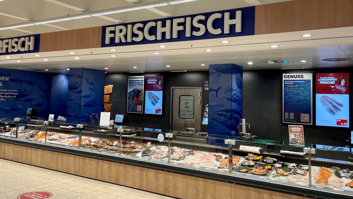 Beste Fischtheke im Kaufland Neckarsulm