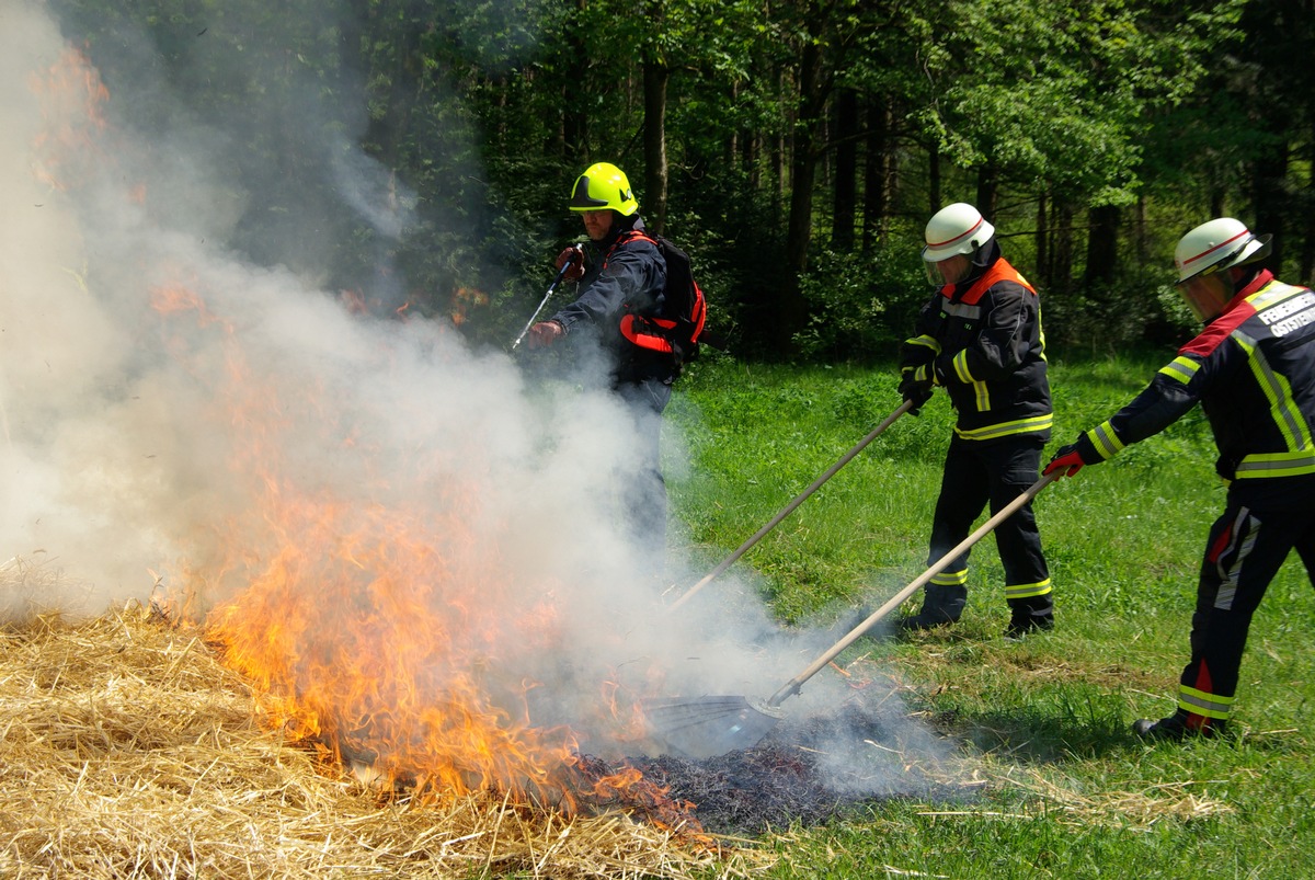 FW-LFVSH: Vegetationsbrandbekämpfung: Feuerwehren des Landesfeuerwehrverbandes Schleswig-Holstein bereiten sich auf weitere trockene Sommer vor