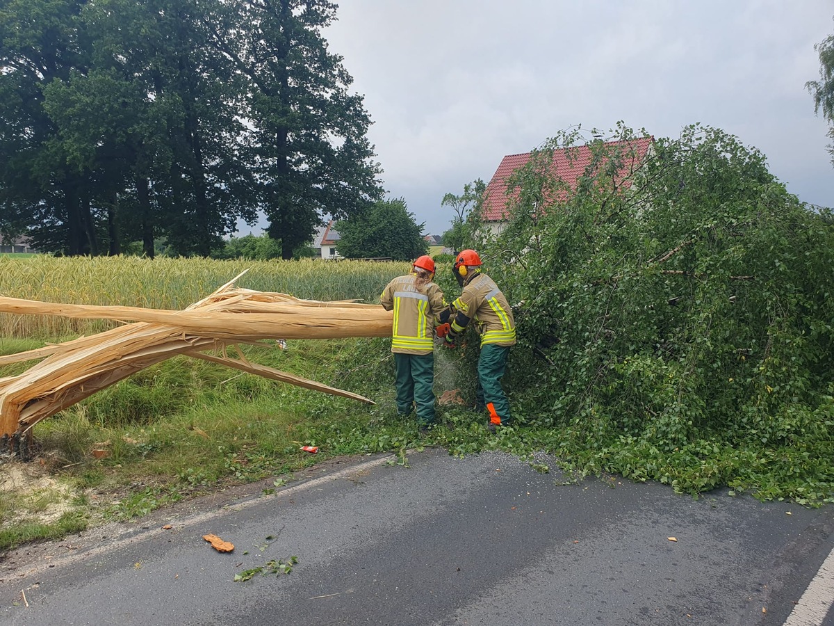 FW Lage: TH 0 / Blitzeinschlag in Birke ohne Feuer - 30.06.24 - 14:04 Uhr