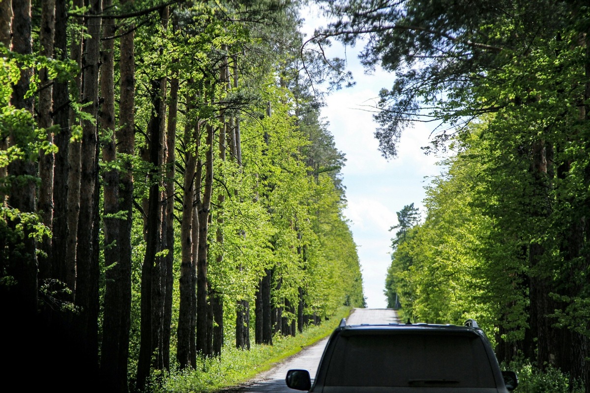 Umweltfreundlich verkaufen: Wie Autohändler zum Recycling beitragen - Eine grüne Perspektive auf den Autoankauf