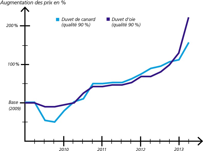 L&#039;expansion du secteur des activités de plein air se traduit par une augmentation du prix du duvet à l&#039;échelle internationale et par un renchérissement des produits de literie suisses (IMAGE)