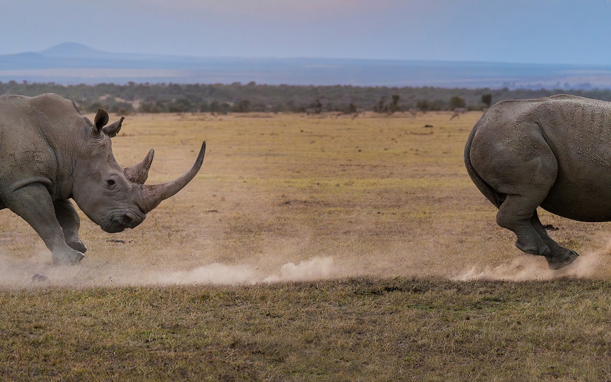 NaturVision Filmtage im Naturmuseum St.Gallen