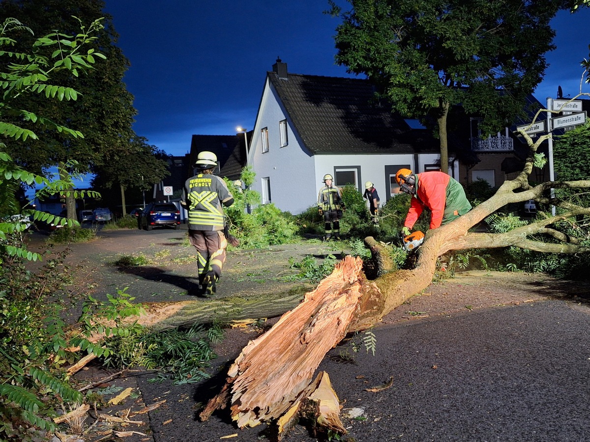 FW Bocholt: Baum auf Straße gestürzt