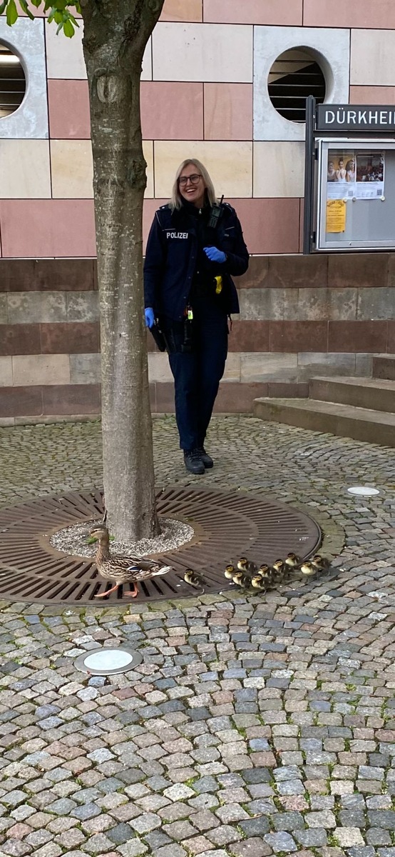 POL-PDNW: (Bad Dürkheim) - Entenfamilie auf Abwegen